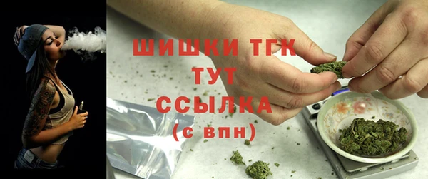стаф Горнозаводск
