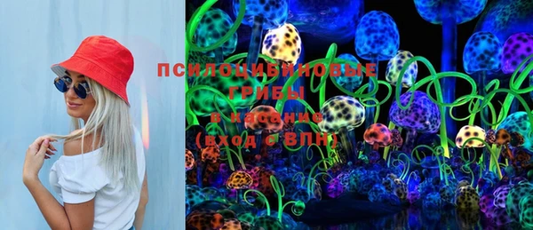 стаф Горнозаводск