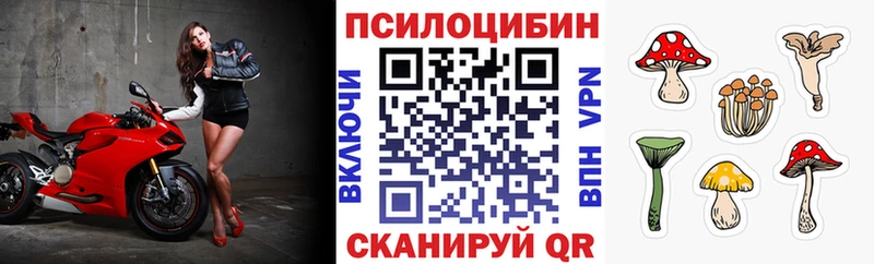 Галлюциногенные грибы мицелий  Купить где  Мурманск 